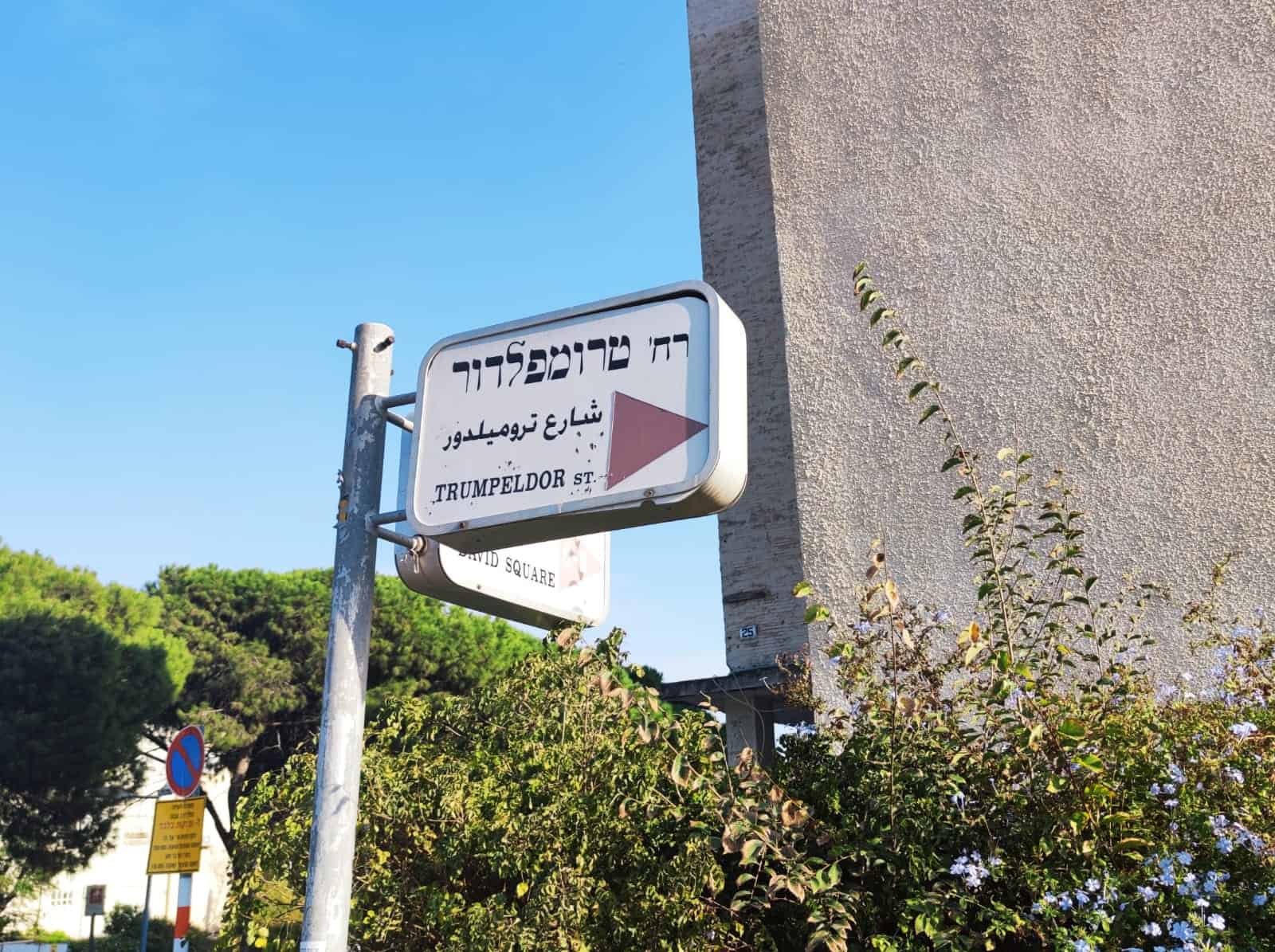 רחוב טרומפלדור בחיפה, צילום: חדשות NWS