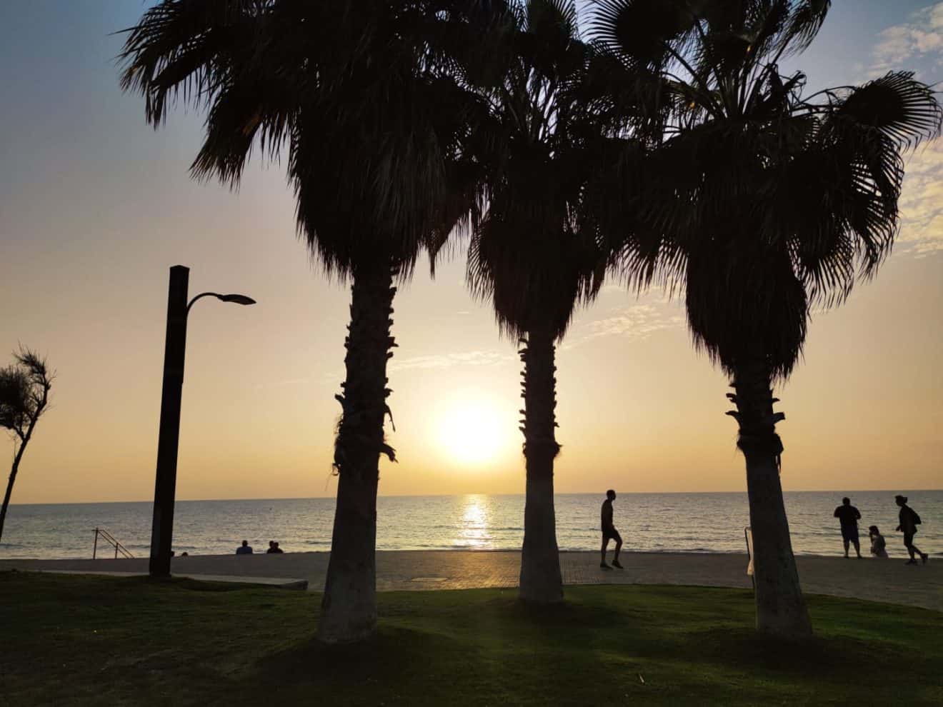 טיילת החוף בחיפה, כל מילה מיותרת | צילום: חדשות NWS