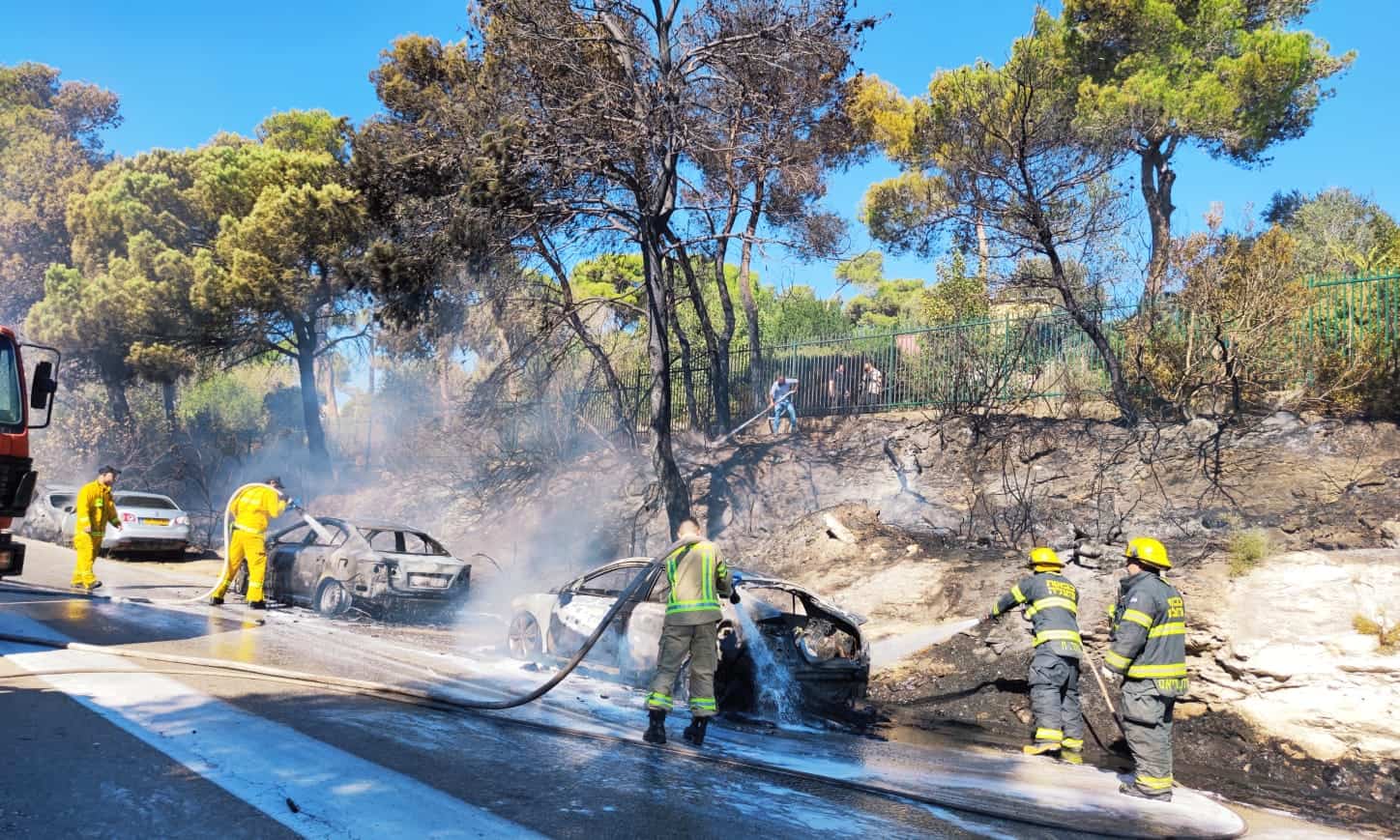 שריפה בסמוך לאוניברסיטת חיפה, צילום: חדשות NWS