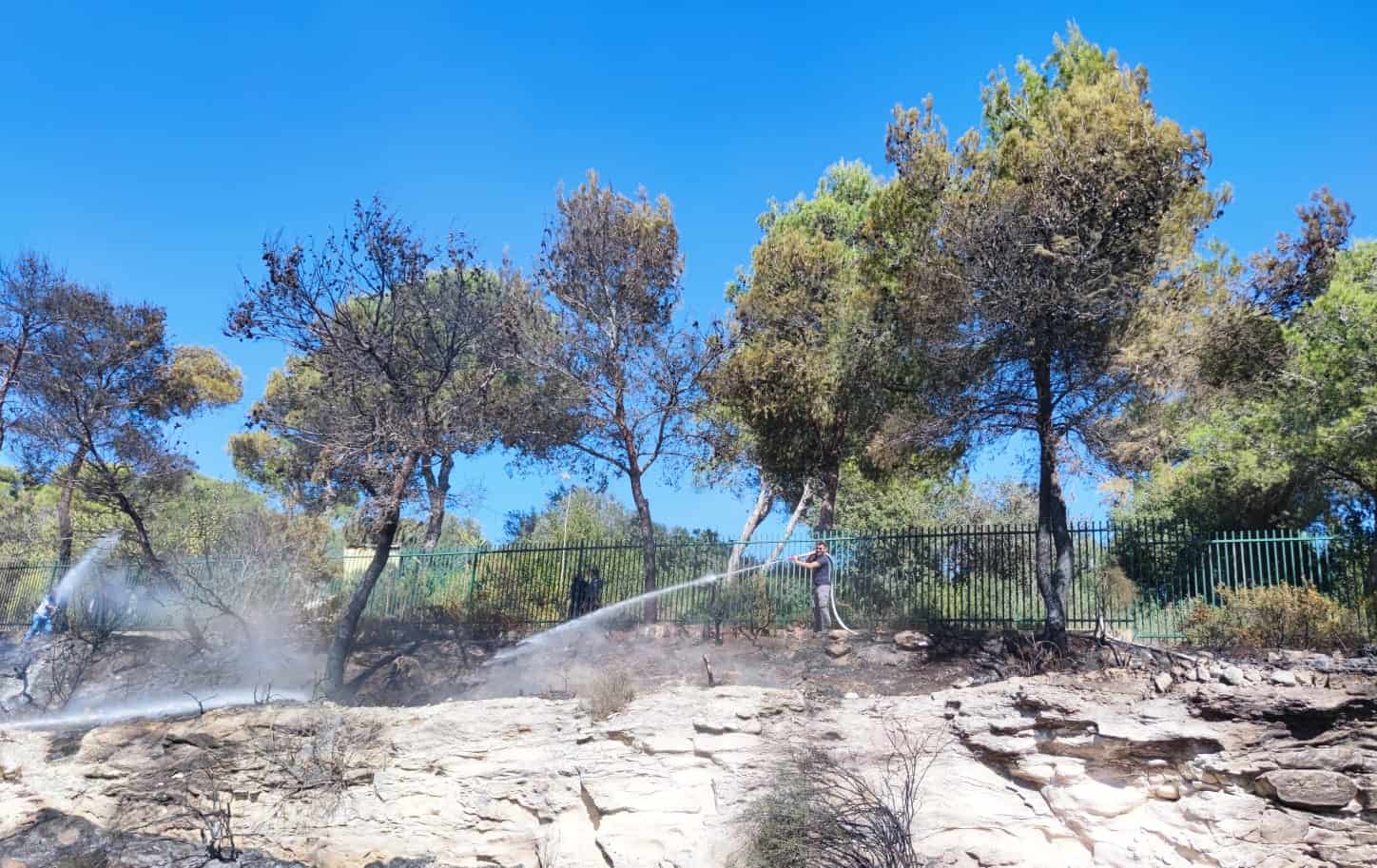 שריפה בסמוך לאוניברסיטת חיפה, צילום: חדשות NWS