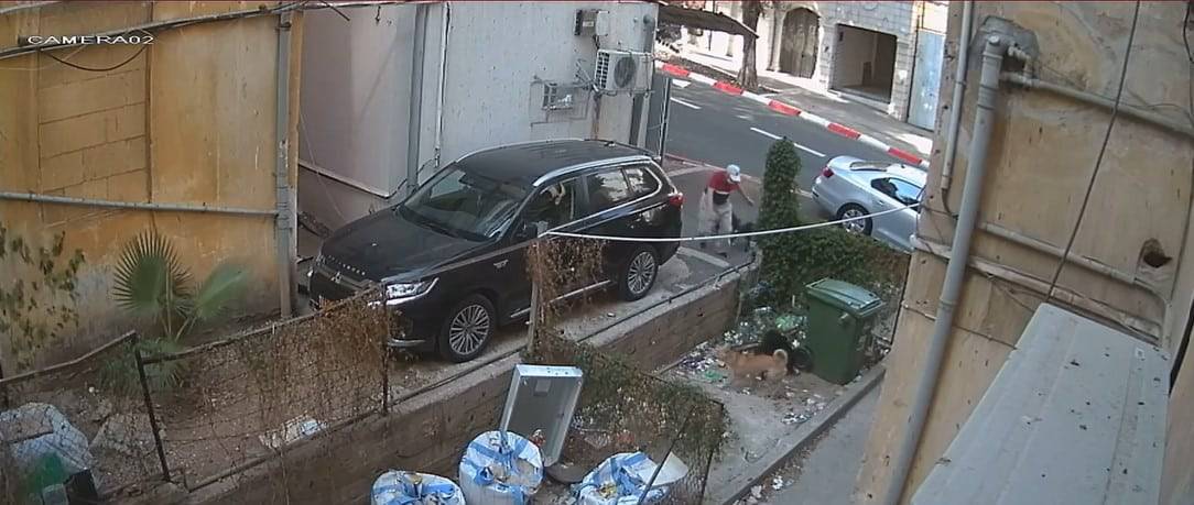 כלבי רחוב תוקפים אדם קשיש בשכונת הדר בחיפה | צפו בתיעוד