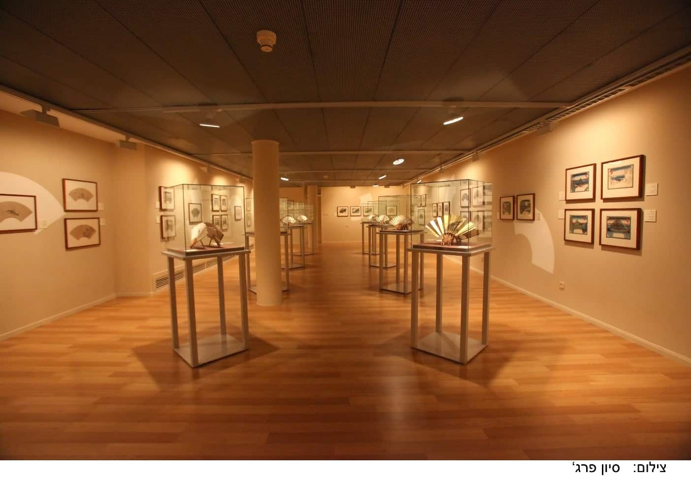 מוזיאון טיקוטין לאמנות יפנית חיפה צילום סיון פרג