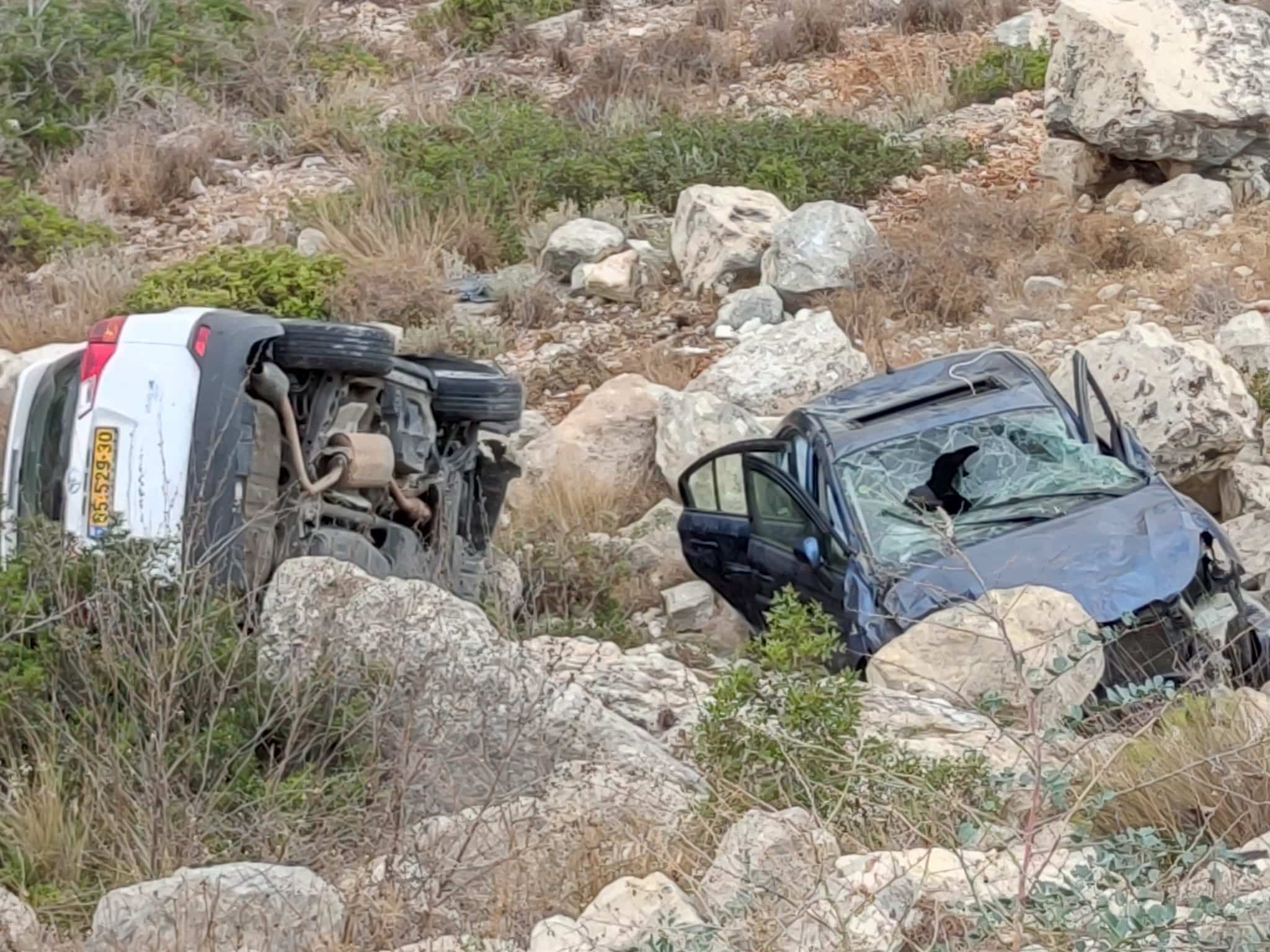 תאונה בפרויד חיפה, צילום: חדשות NWS