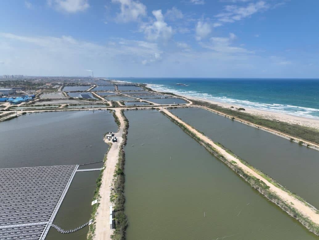 אשכול מישור החוף אנרגיה סולרית בבריכות הדגים של מעגן מיכאל צילום חברת קנדו