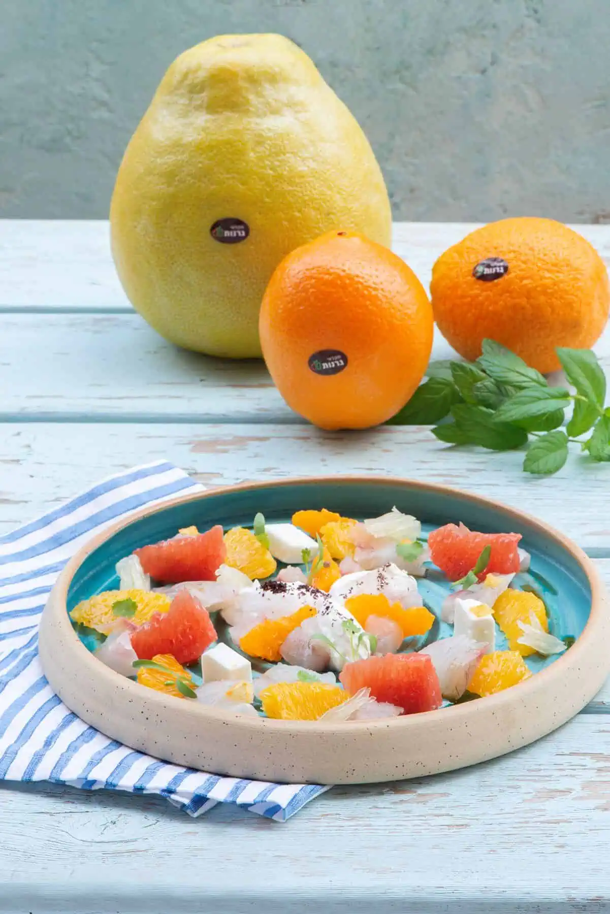 לרגל ט"ו בשבט מתכון למנה עשירה בפירות ארצנו: סביצ'ה הדרים חגיגי 1 סביצה הדרים חגיגי לטו בשבט של חקלאי גרנות צילום הדס ניצן