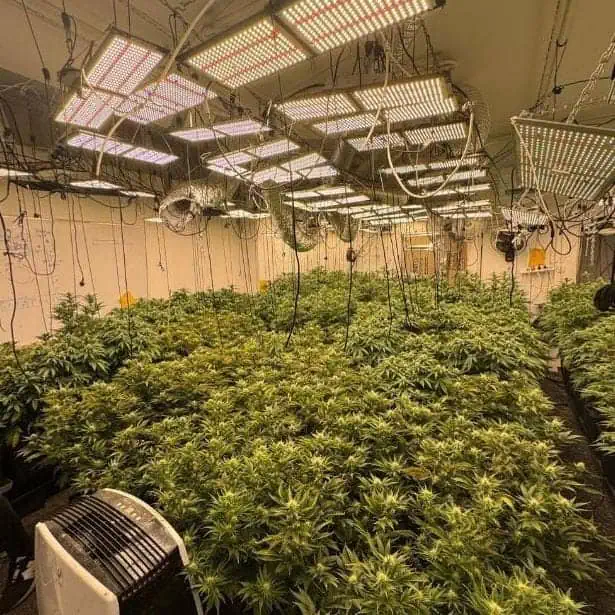 הפשע בחיפה: מעבדת סמים ענקית נחשפה בשדרות ההסתדרות בעיר 1 WhatsApp Image 2025 07 13 at 13.46.04 1