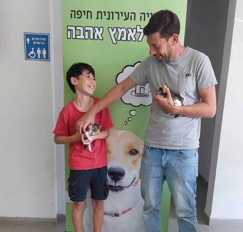 פתחו את הלב: תושב חיפה הגיע לאמץ חתול אחד ויצא עם שני גורים מאושרים » חדשות NWS