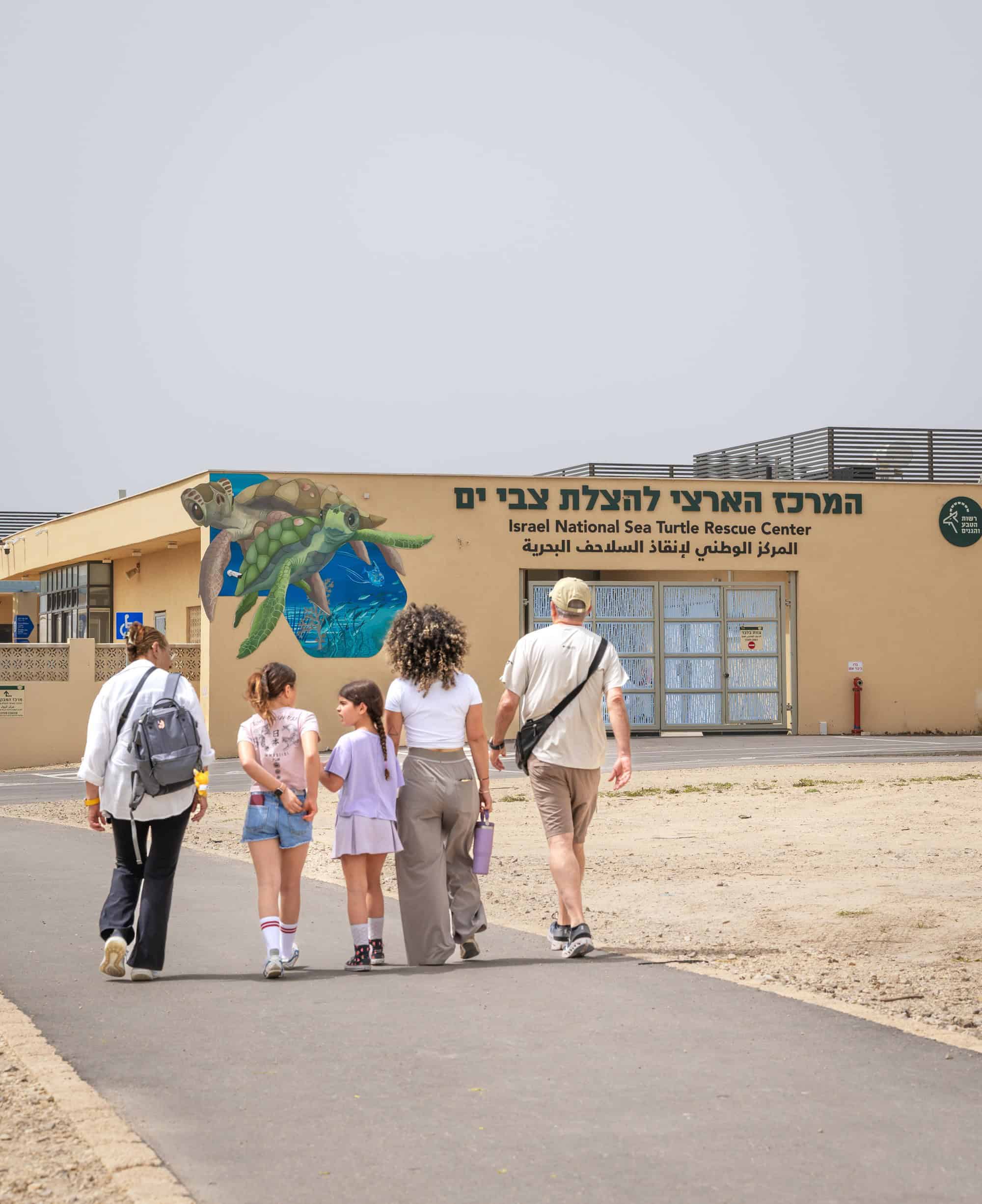 המרכז הארצי להצלת צבי ים יואב פלמה רשות הטבע והגנים 1