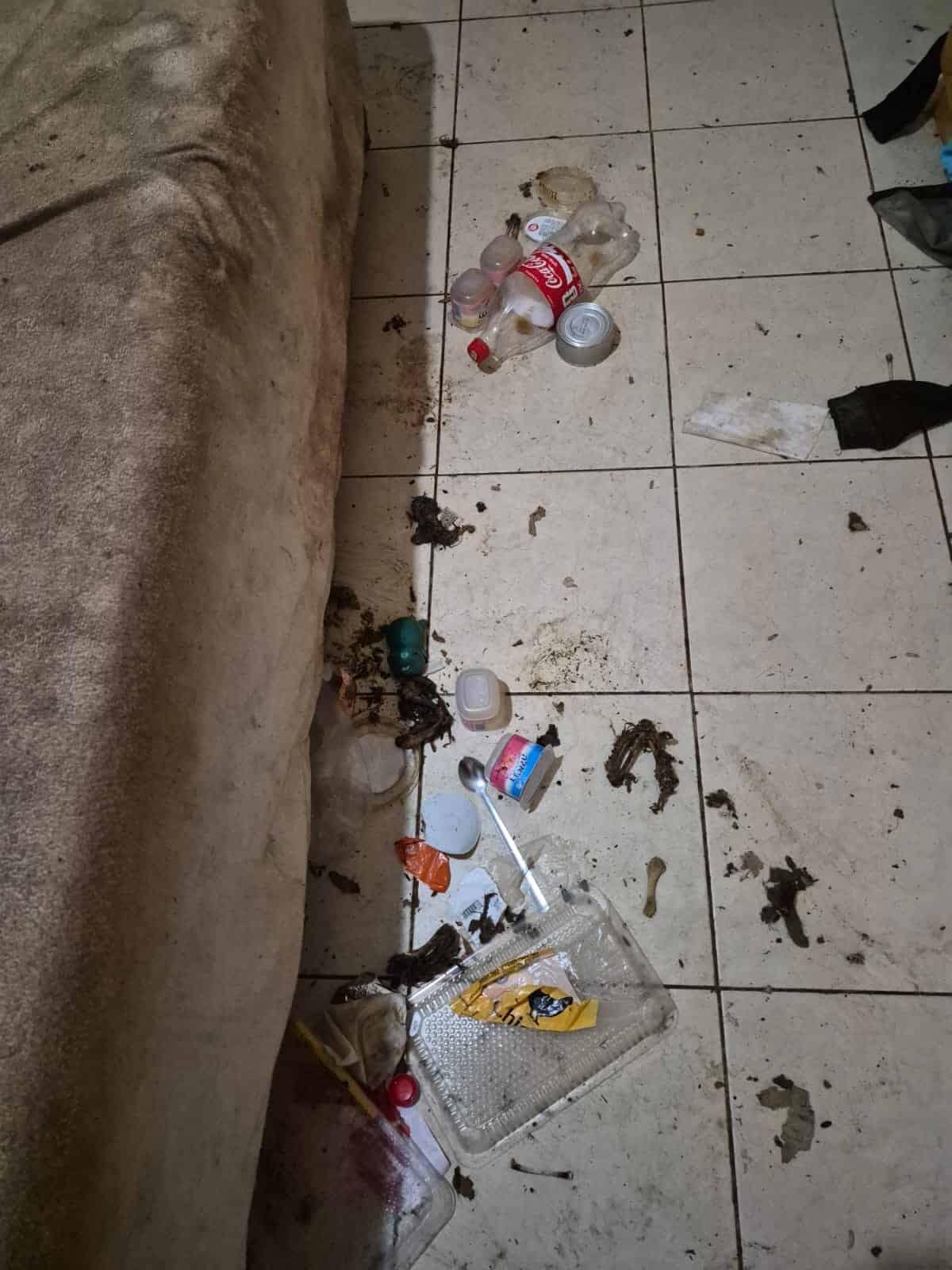 מזעזע בחיפה: 8 חתולים ושני ילדים עם צרכים מיוחדים חולצו מדירה בתנאי הזנחה קשים | צפו בתיעוד 1 קרדיט משרד החקלאות וביטחון המזון2