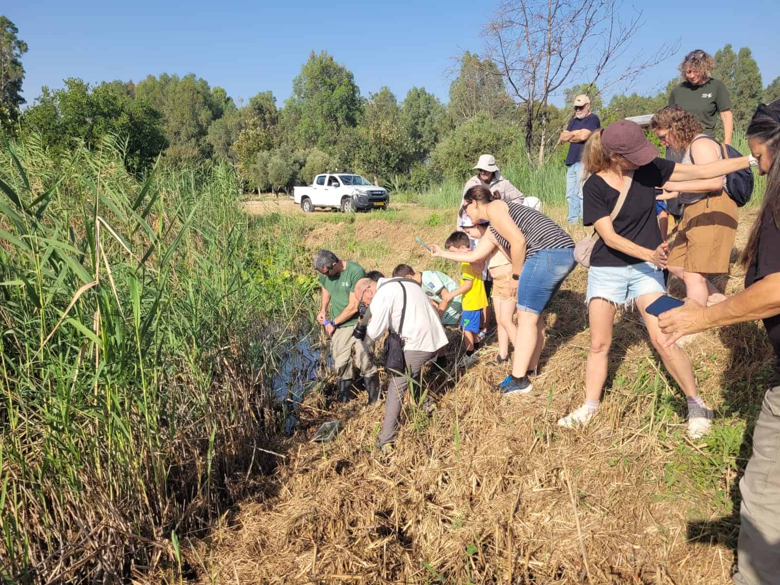 שחרור עגולשונים בשמורת החולה עם קהל מבקרים. צילום עידו שקד רשות הטבע והגנים 2